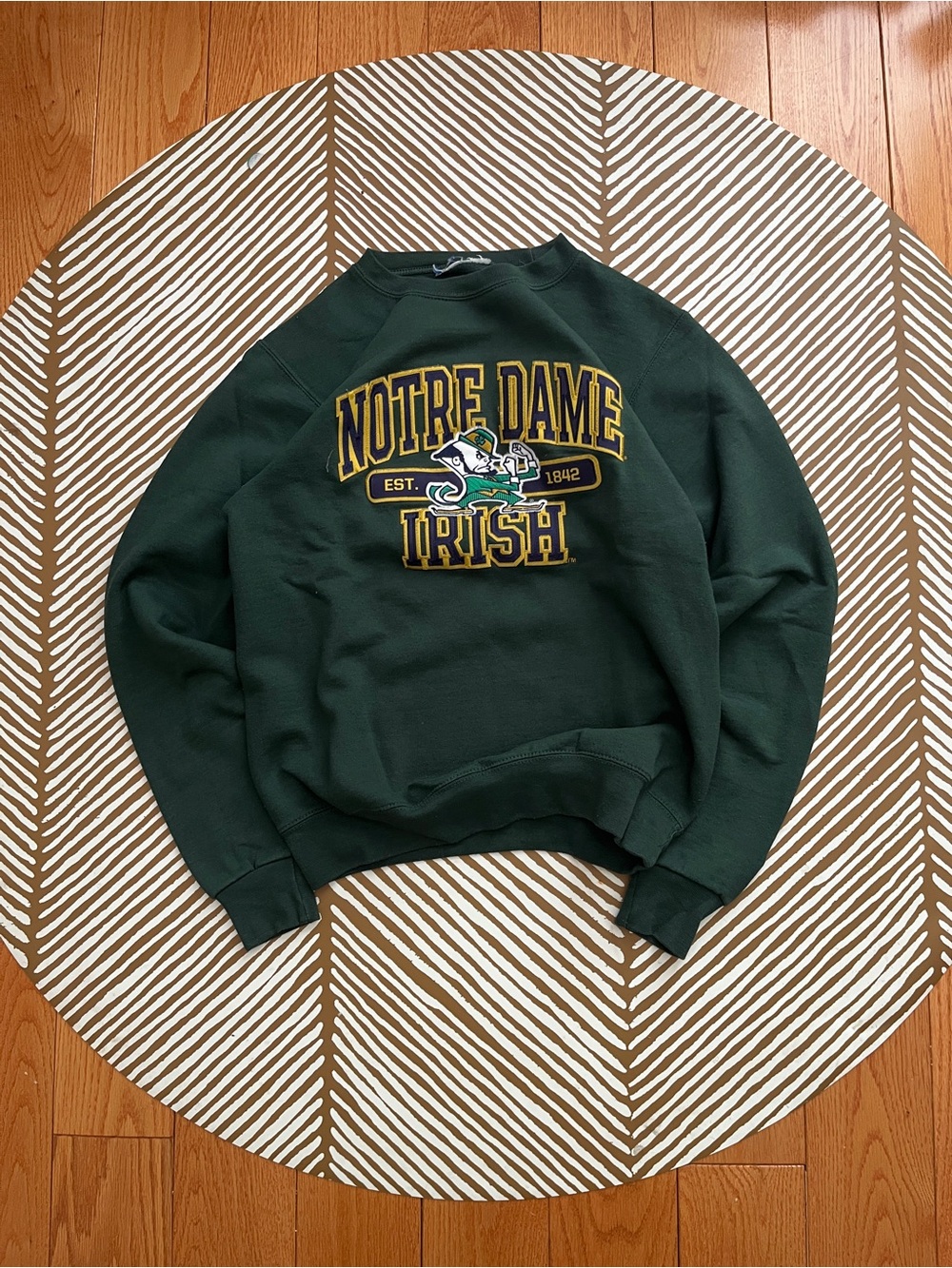 Champion Notre Dame Fighting Irish Sweater (fits XS)